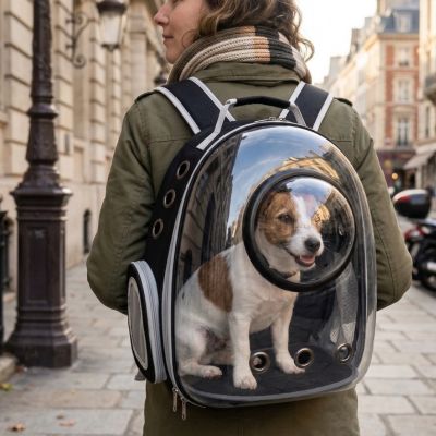 femme paris portant sac a dos chien capsule spatiale noir jack russell