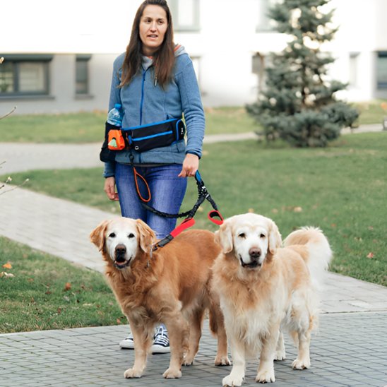 femme tenant vieux chiens avec double laisse pour chien