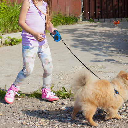 fillette tenant pomeranien avec laisse pour chien enrouleur
