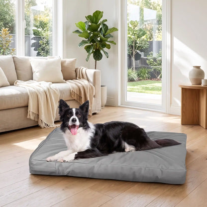 Coussin pour Chien