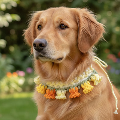 golden retriever en jardin portant un collier pour chien crochet fleurs jaunes oranges