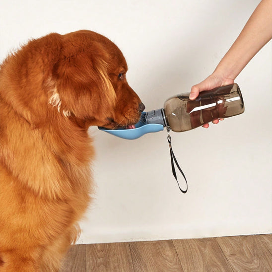golden retriever interieur gourde pour chien portable 800ml bleu clair bol pliable main