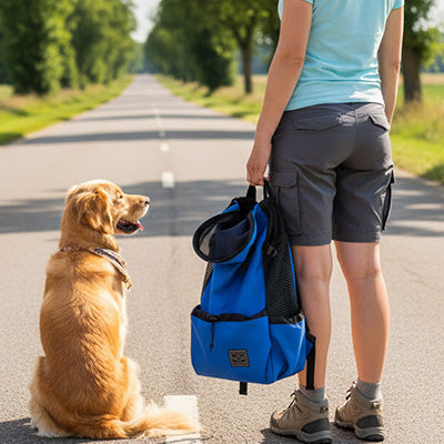 golden retriever maitre sac a dos pour chien bleu pose sol route