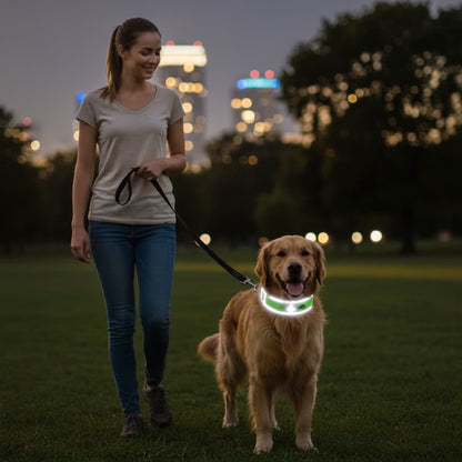 golden retriever nuit parc collier pour chien neopren rembourre reflechissant vert fluo