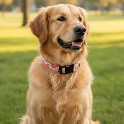 golden retriever souriant avec un collier chien reglable motif floral rose
