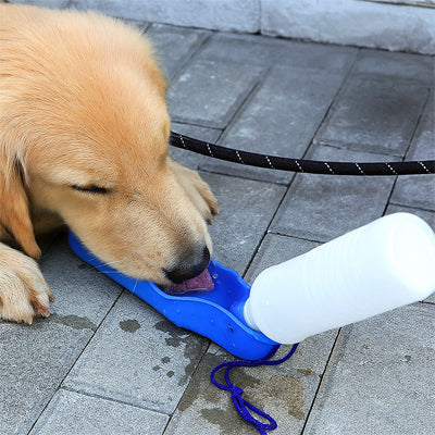 golden retriever trottoir gourde pour chien portable bleu bol integre promenade