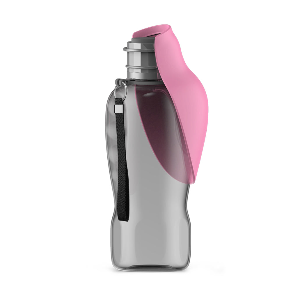 gourde portable chien promenade rose fond blanc