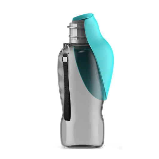 gourde portable chien promenade vert menthe fond blanc