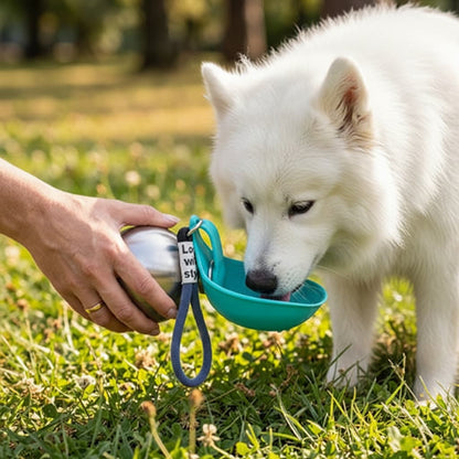 gourde pour chien portable gamelle silicone turquoise samoyede