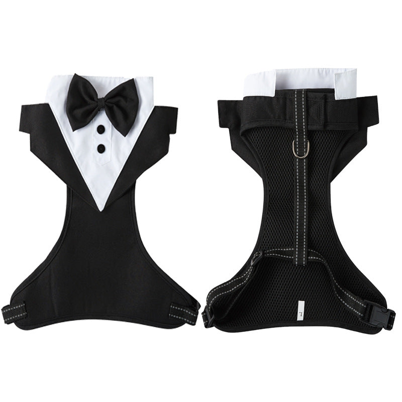 harnais chien costume noir recto verso fond blanc