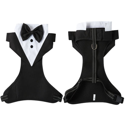 harnais chien costume noir recto verso fond blanc