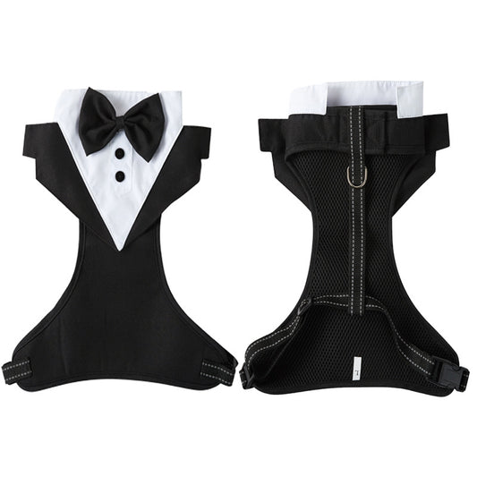 harnais chien costume noir recto verso fond blanc