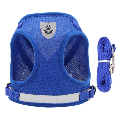 harnais chien mesh respirant avec laisse bleu fond blanc
