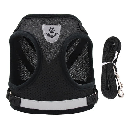harnais chien mesh respirant avec laisse noir fond blanc