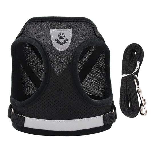 harnais chien mesh respirant avec laisse noir fond blanc