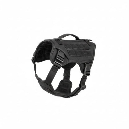 harnais chien noir fond blanc
