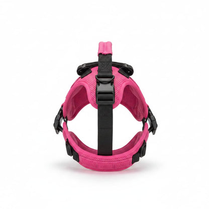 harnais chien rose fuchsia fond blanc