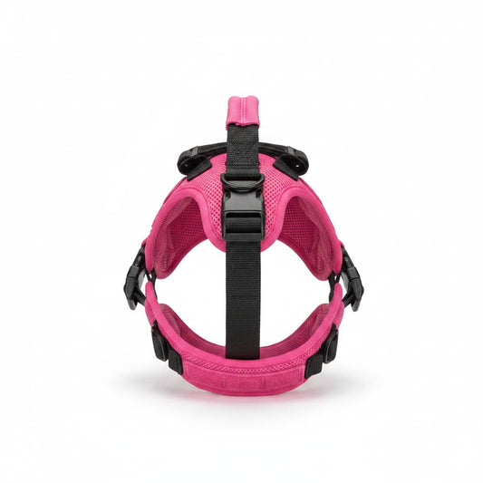harnais chien rose fuchsia fond blanc