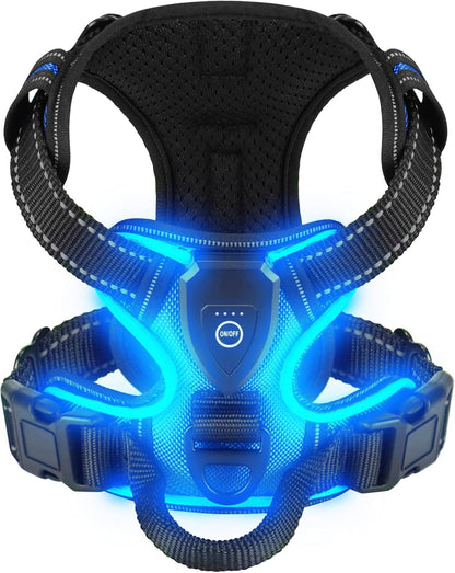 harnais lumineux chien led rechargeable bleu fond blanc
