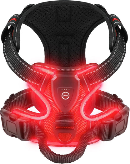 harnais lumineux chien led rechargeable rouge fond blanc
