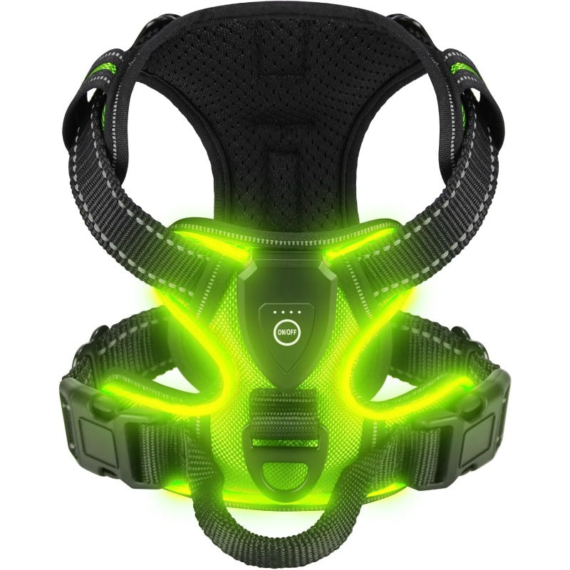 harnais lumineux chien led rechargeable vert fond blanc