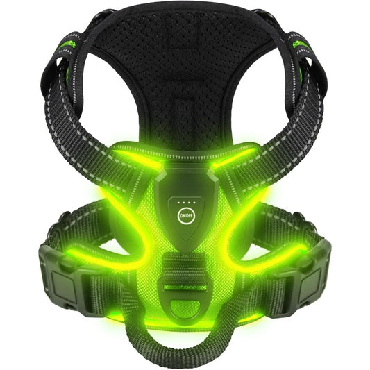 harnais lumineux chien led rechargeable vert fond blanc