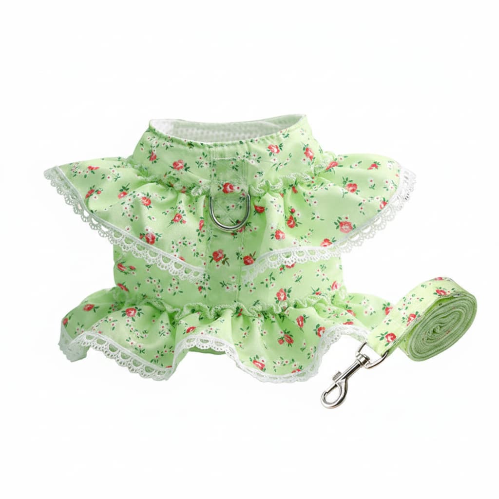 harnais petit chien robe fleurie vert pomme avec laisse
