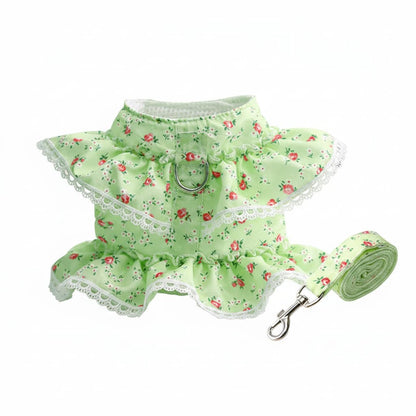 harnais petit chien robe fleurie vert pomme avec laisse