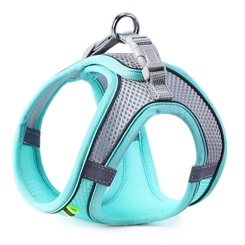 harnais pour chien mesh respirant bleu clair fond blanc