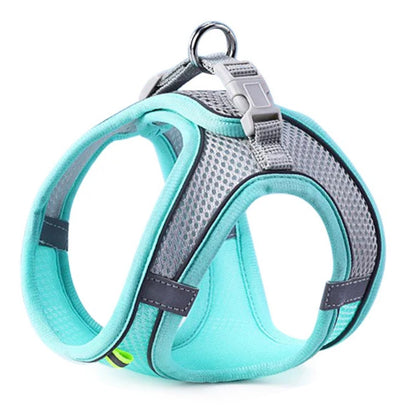 harnais pour chien mesh respirant bleu clair fond blanc