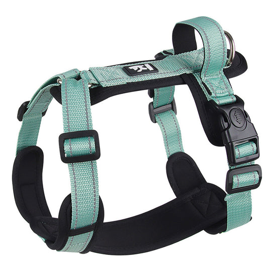 harnais pour petit chien reflechissant vert menthe