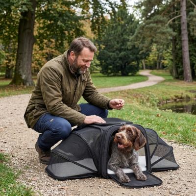homme avec son chien griffon dans un sac de transport noir pour chien extensible dans un parc