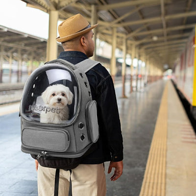 homme de dos maltais dans sac transport chien capsule gris gare