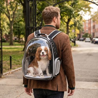 homme parc portant sac a dos chien capsule spatiale noir cavalier king charles