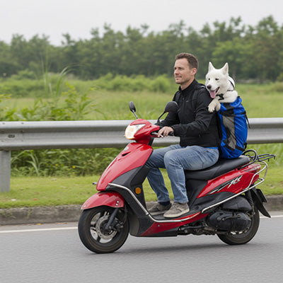 homme scooter rouge sac a dos pour chien husky blanc bleu