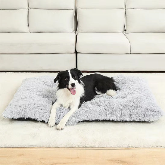 Coussin pour chien Gris