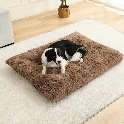 Coussin pour chien Marron