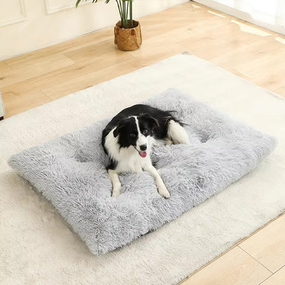 Coussin pour chien Marron