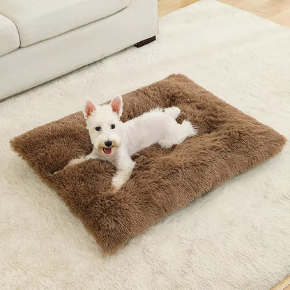 Coussin pour chien Marron