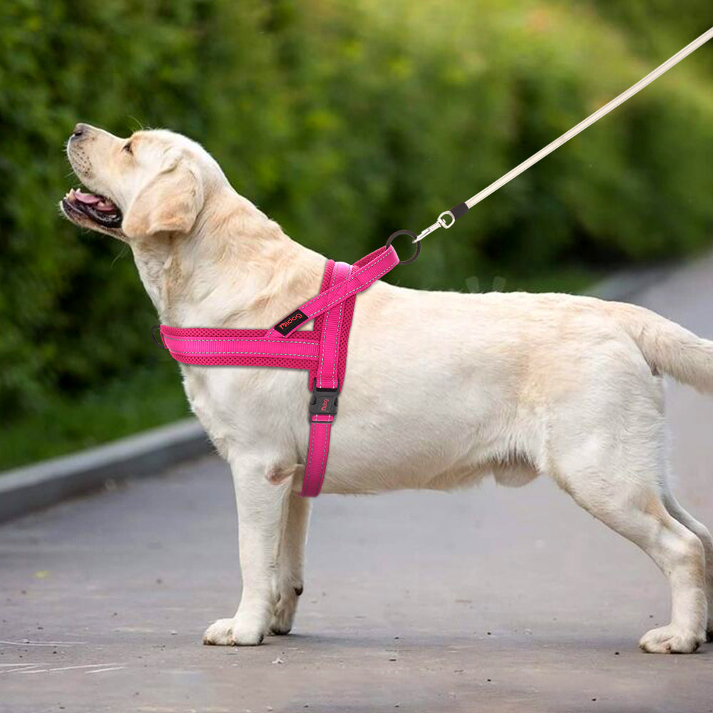 labrador avec harnais pour chien rembourre reflechissant rose vif