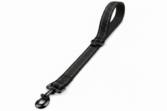 laisse chien ajustable reflechissante noire fond blanc