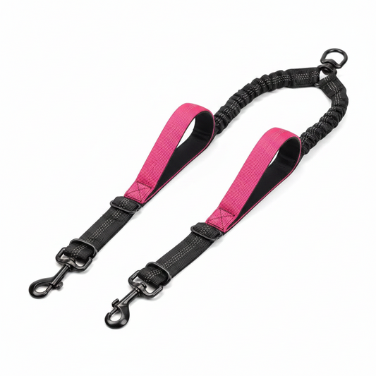 laisse double chien deux poignees rose fuchsia fond blanc