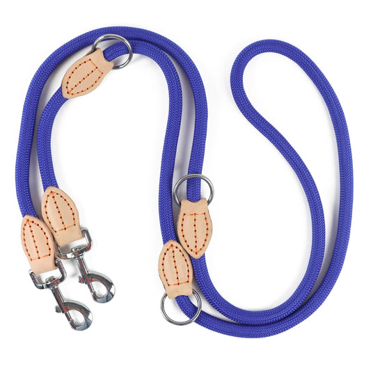 laisse double pour chien bleu fond blanc