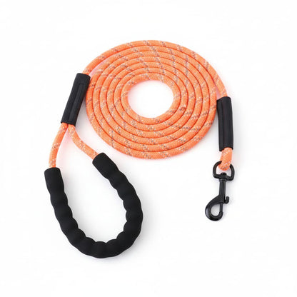longe pour chien longue laisse orange fond blanc