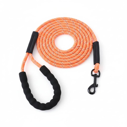 longe pour chien longue laisse orange fond blanc