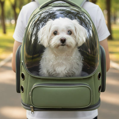 maltais dans sac transport chien capsule vert hublot panoramique parc