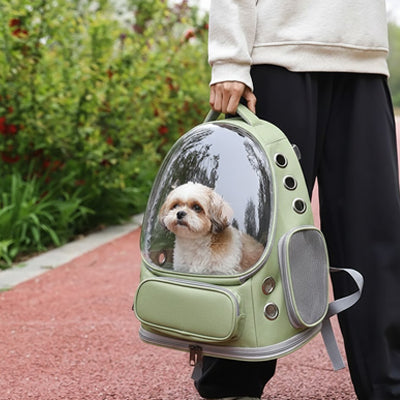 maltais dans sac transport chien capsule vert a la main allee