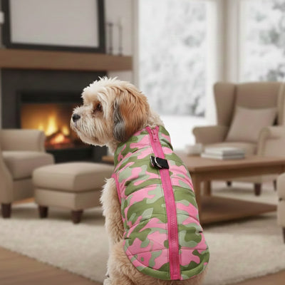 maltais manteau chien camouflage rose interieur cheminee