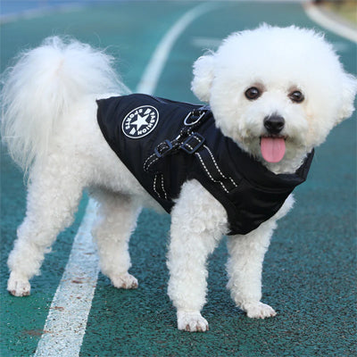 manteau chien impermeable harnais integre noir bichon frise