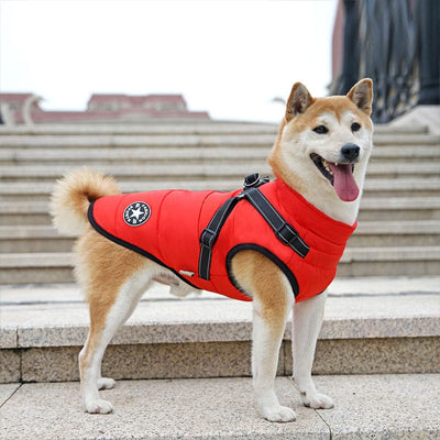 manteau chien impermeable harnais integre rouge shiba inu